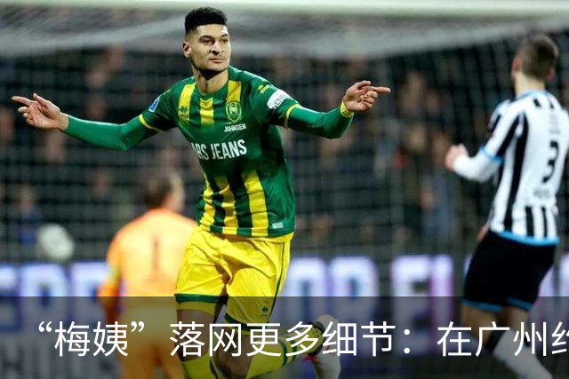 “梅姨”落网更多细节：在广州约10平米的出租屋落网，月租550元左右，被抓捕时未抗拒，称拐卖合伙人为“靓仔”“靓女”