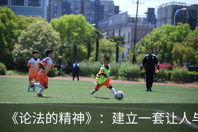 《论法的精神》：建立一套让人与人之间不必互相恐惧的安排 | 每周经典