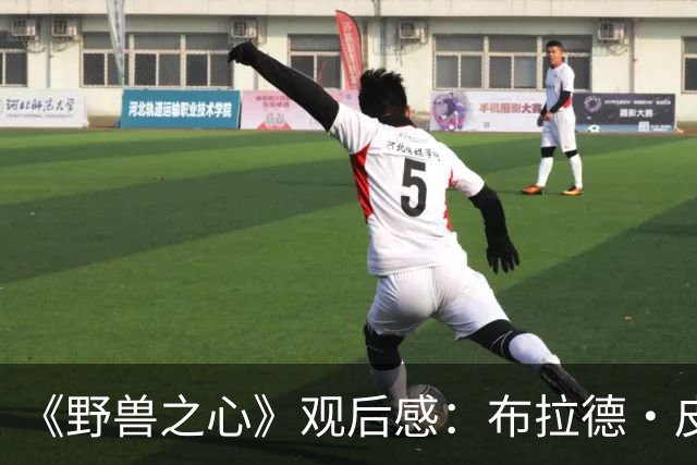 《野兽之心》观后感：布拉德·皮特，你真的让我哭惨了