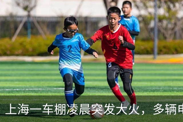 上海一车棚凌晨突发大火，多辆电动自行车被烧毁；街道办：相关人员正开展后续工作，起火原因、损毁车辆、财物损失情况，均在调查统计中
