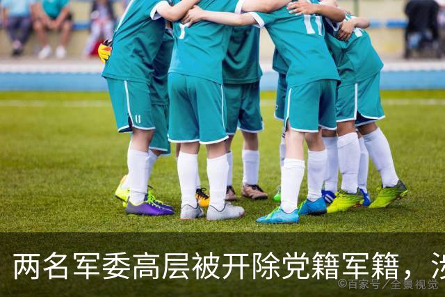 两名军委高层被开除党籍军籍，涉案金额特别巨大