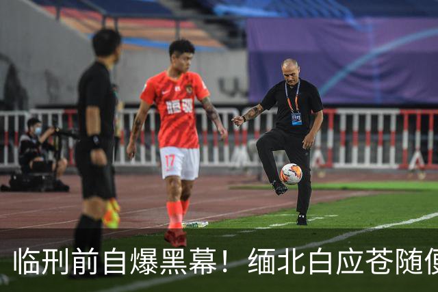 临刑前自爆黑幕！缅北白应苍随便圈钱十几亿，奢靡生活超乎想象