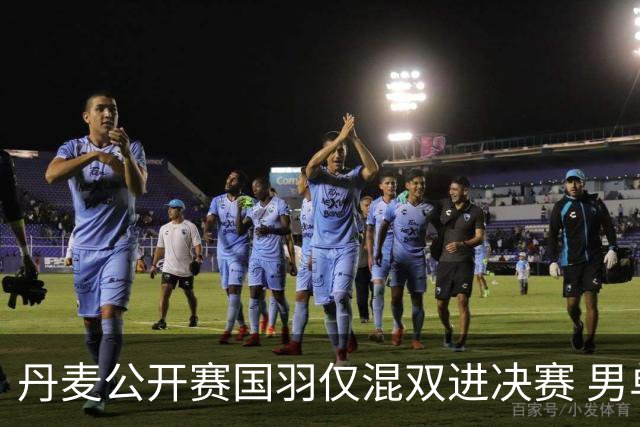 丹麦公开赛国羽仅混双进决赛 男单形势岌岌可危