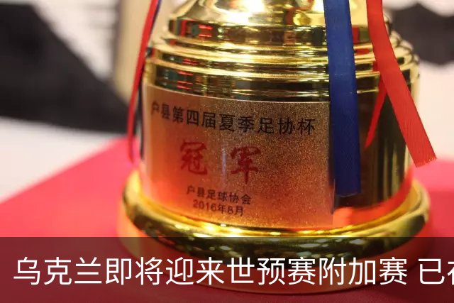 乌克兰即将迎来世预赛附加赛 已在他国集训1个月