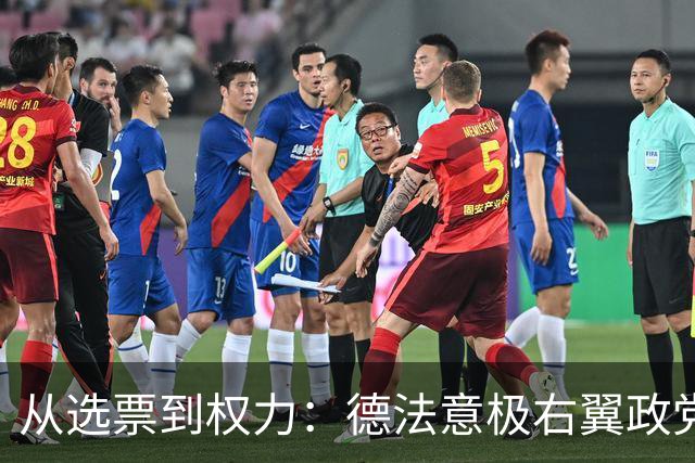 从选票到权力：德法意极右翼政党的不同制度路径