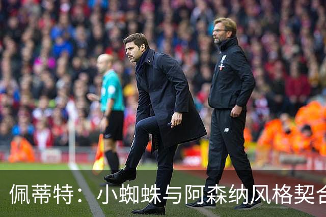 佩蒂特：小蜘蛛与阿森纳风格契合，但我对他冬窗离队持怀疑态度
