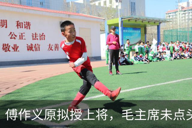 傅作义原拟授上将，毛主席未点头，周总理亲自向傅说明原因！