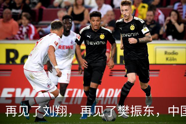 再见了刘翔，再见了樊振东，中国越来越不需要金牌，将迎来新时代