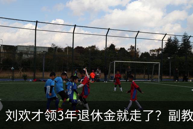 刘欢才领3年退休金就走了？副教授养老金估算曝光，数额令人唏嘘
