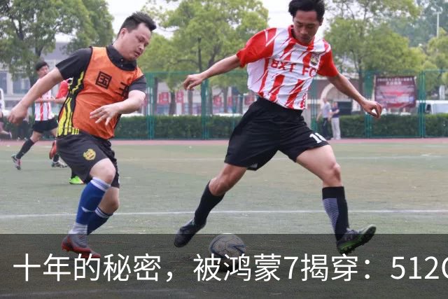 十年的秘密，被鸿蒙7揭穿：512GB，背后到底水分多深