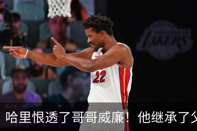 哈里恨透了哥哥威廉！他继承了父亲的王位不说，还继承了母亲的脸