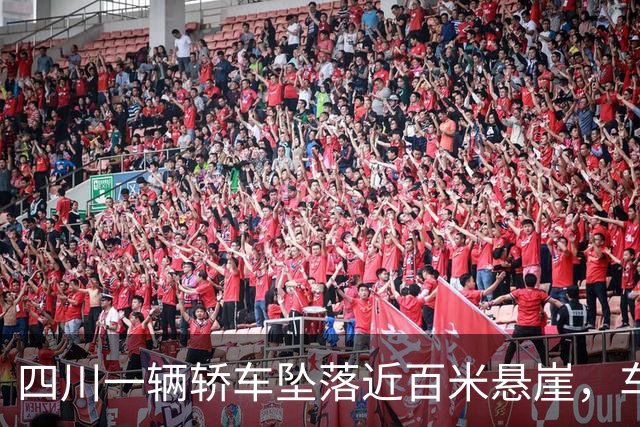四川一辆轿车坠落近百米悬崖，车主幸运生还，行车记录仪拍下惊险画面：车辆多次腾空、撞击、连续翻滚；品牌回应