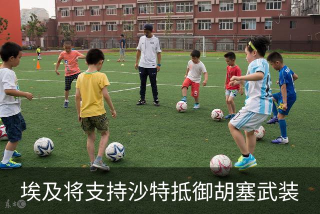 埃及将支持沙特抵御胡塞武装