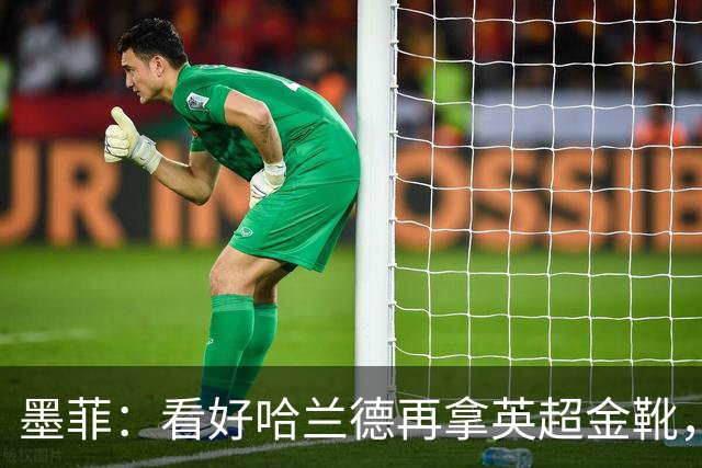 墨菲：看好哈兰德再拿英超金靴，若昂·佩德罗能接近也很出色了