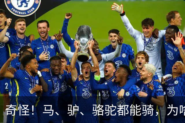 奇怪！马、驴、骆驼都能骑，为啥却没人驯服鹿当坐骑呢？