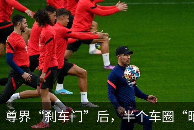 尊界“刹车门”后，半个车圈“晒踏板”！