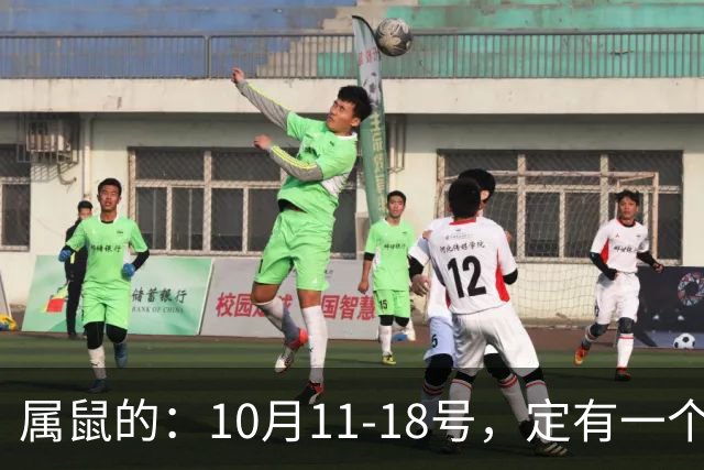 属鼠的：10月11-18号，定有一个让你喜出望外的好消息