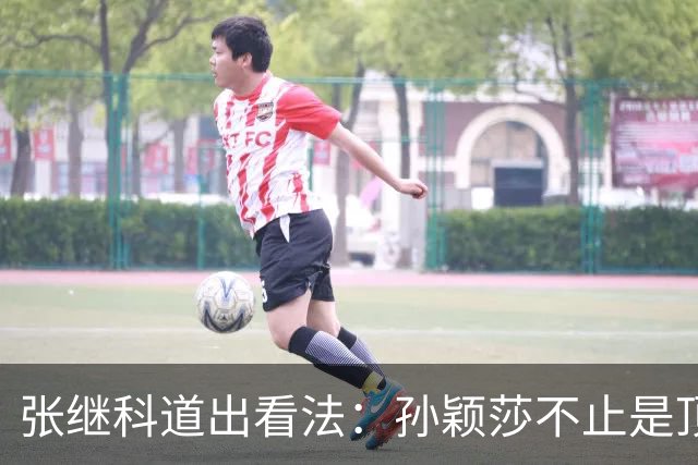 张继科道出看法：孙颖莎不止是顶尖选手，她自身便是一条水平线