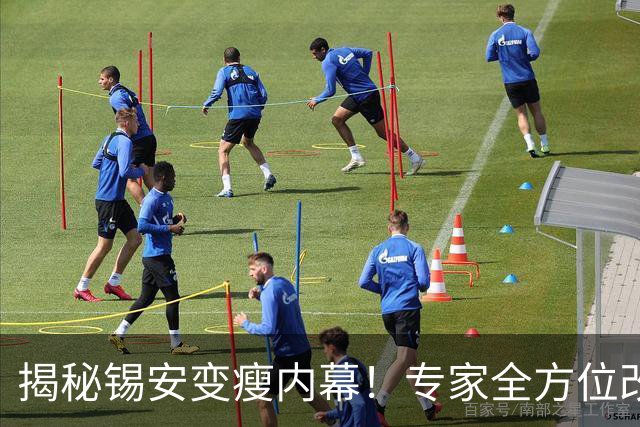 揭秘锡安变瘦内幕！专家全方位改善身体状态 新赛季出勤率令人期待