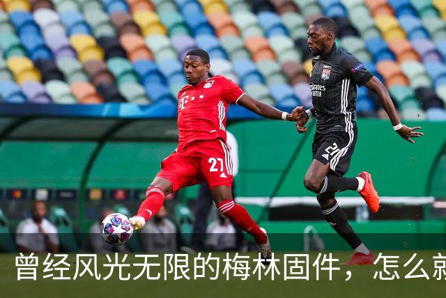 曾经风光无限的梅林固件，怎么就变成路边一条了呢？