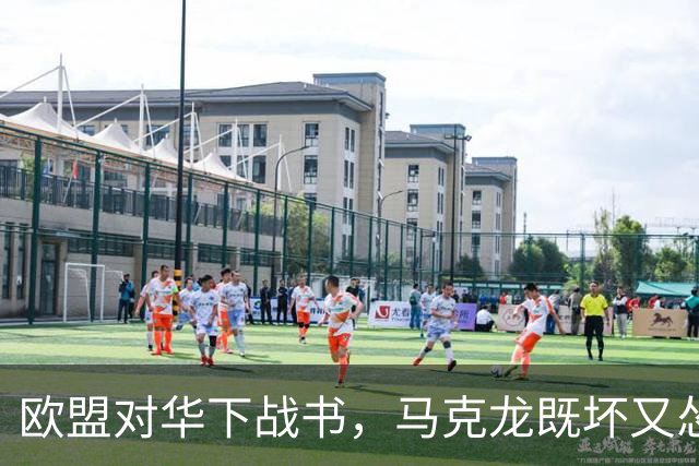 欧盟对华下战书，马克龙既坏又怂，意大利前高官：这帮人毁了欧洲
