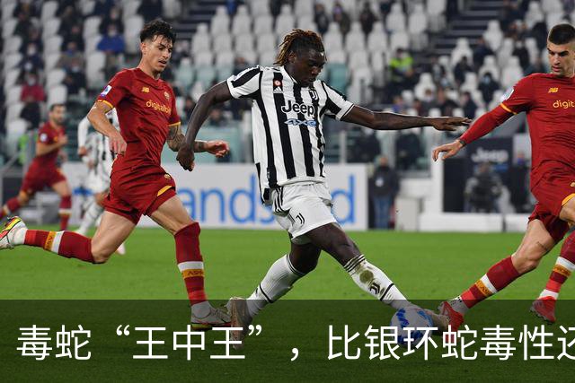 毒蛇“王中王”，比银环蛇毒性还强，被称为亚洲第一毒蛇，我国有吗？