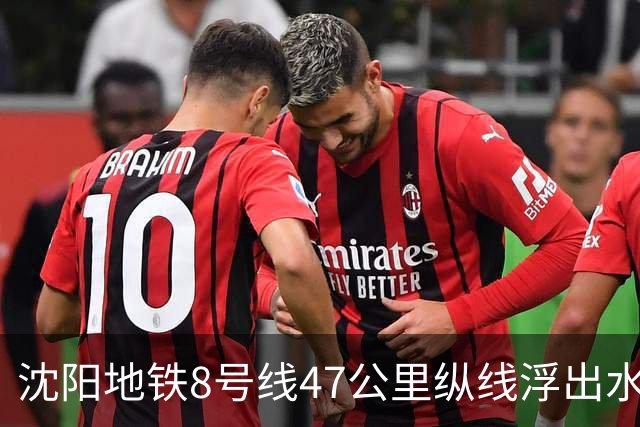 沈阳地铁8号线47公里纵线浮出水面，沈铁田园牧歌被点名之后还有几道坎