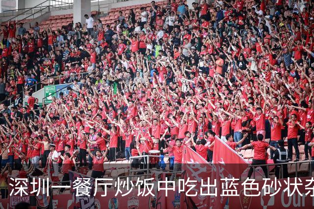 深圳一餐厅炒饭中吃出蓝色砂状杂质？消费者：担心重金属超标，以个人名义检测遭拒