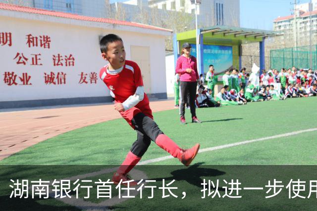 湖南银行首任行长，拟进一步使用