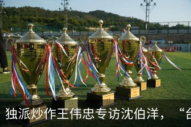 独派炒作王伟忠专访沈伯洋，“台湾民主”早已沦为民进党绿色法西斯