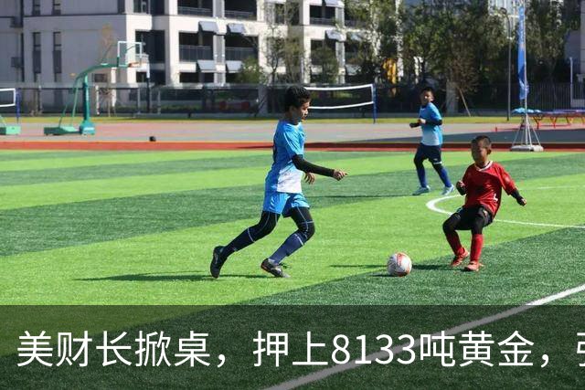 美财长掀桌，押上8133吨黄金，强保40万亿美债，严防人民币突围！