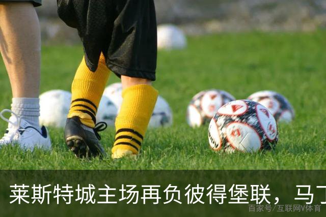 莱斯特城主场再负彼得堡联，马丁：换帅不是速效药