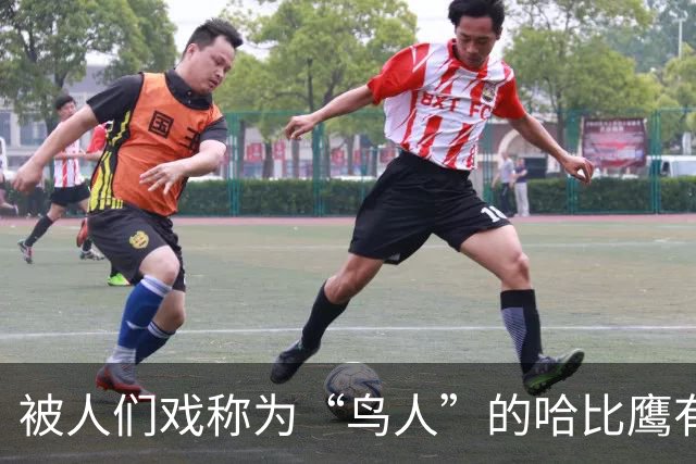被人们戏称为“鸟人”的哈比鹰有多可怕？