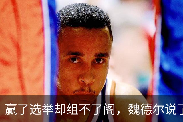 赢了选举却组不了阁，魏德尔说了实话：选择党执政后会这样干！