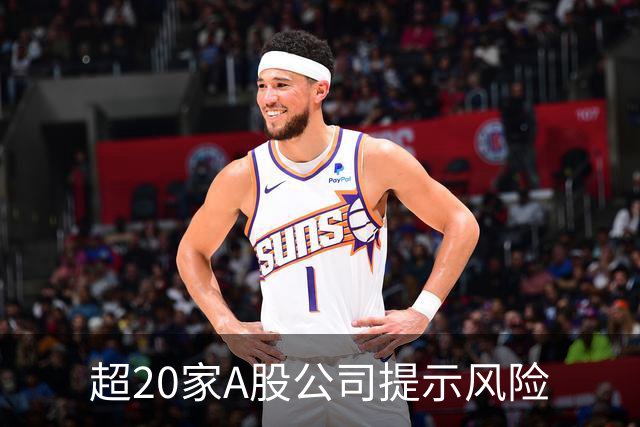 超20家A股公司提示风险