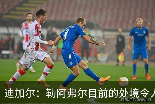迪加尔：勒阿弗尔目前的处境令人担忧，必须尽快作出回应