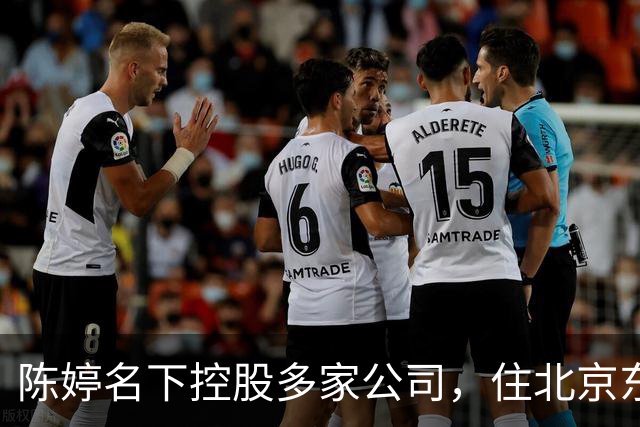 陈婷名下控股多家公司，住北京东湖别墅，她早已不只是张艺谋妻子