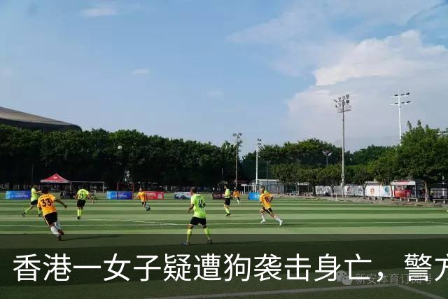 香港一女子疑遭狗袭击身亡，警方：已捕获三只流浪狗