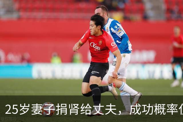 25岁妻子捐肾给丈夫，成功概率仅5%-10%，“康复后我要带她去环游世界”
