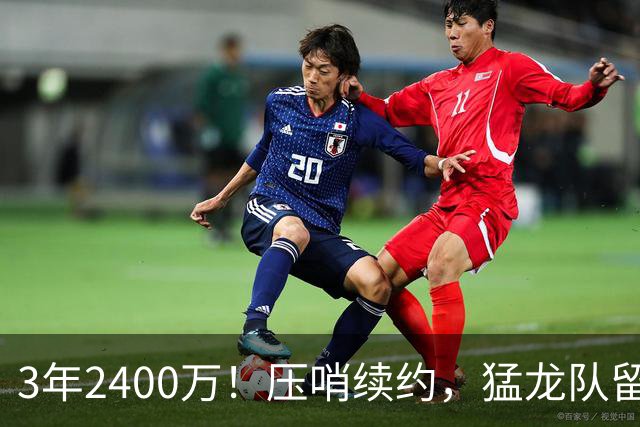 3年2400万！压哨续约，猛龙队留住扎实控卫！