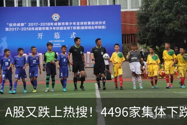 A股又跌上热搜！4496家集体下跌，公募机构砸盘，基民彻底心寒了