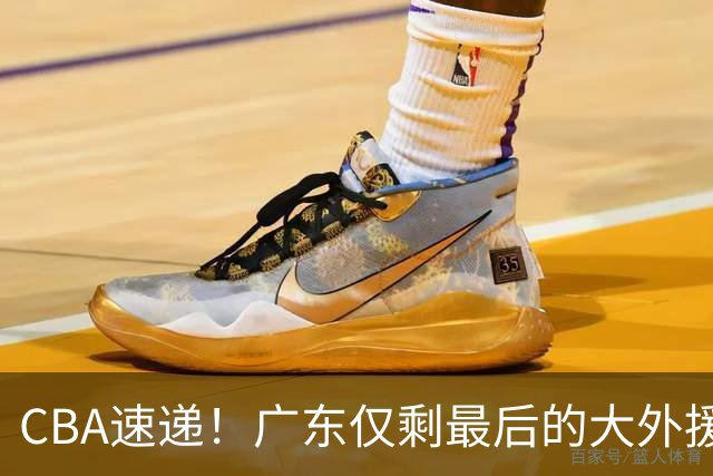 CBA速递！广东仅剩最后的大外援人选，亚帅被逼签下2米08老熟人？