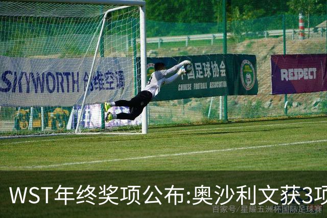 WST年终奖项公布:奥沙利文获3项最佳 中国2人上榜