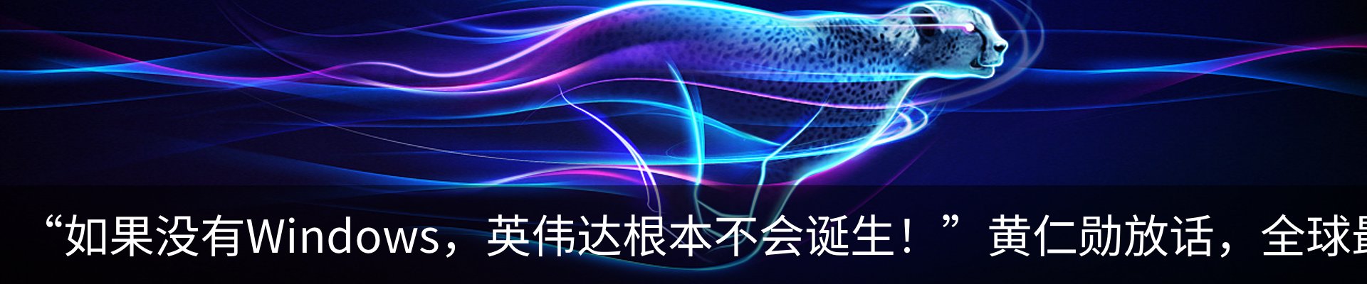 新闻动态