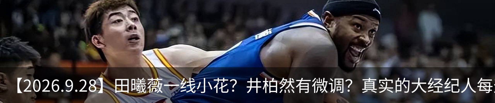 新闻动态