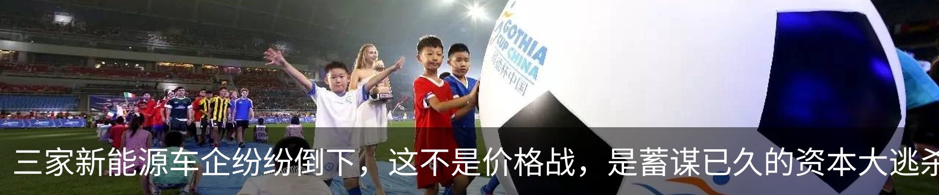 新闻动态
