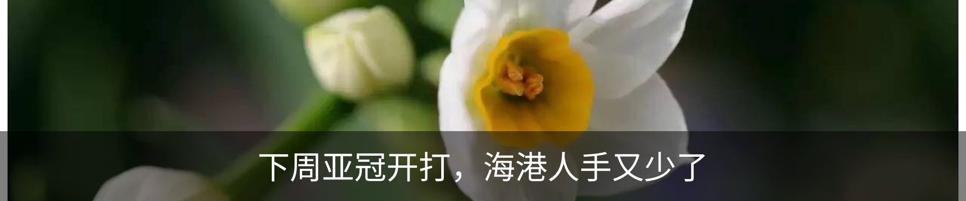 新闻动态