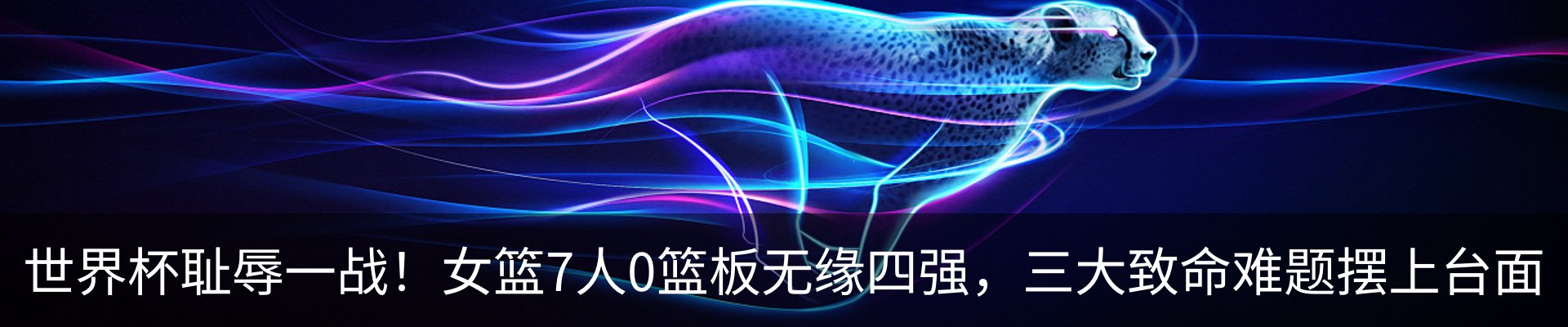 新闻动态