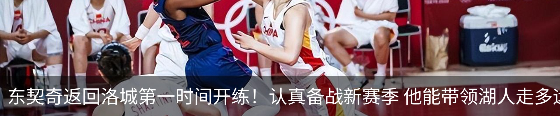 新闻动态
