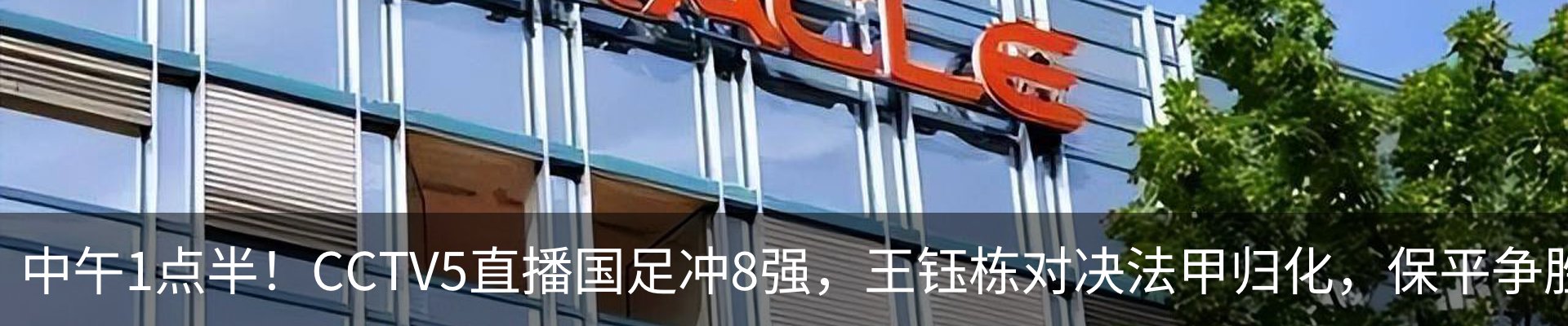 新闻动态